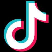 TikTok joins forces with CTS EVENTIM to share festival experience of Rock am Ring and Deichbrand with its global community